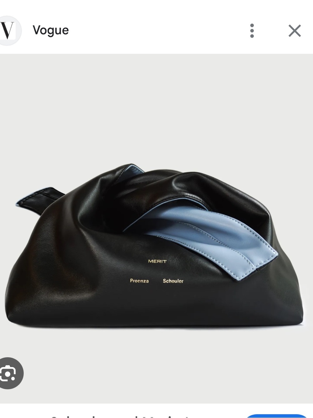 Proenza Schouler x Merit Clutch